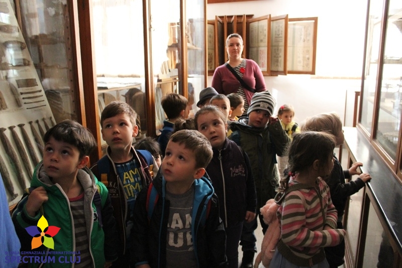 2-5 Miresmele Primăverii
