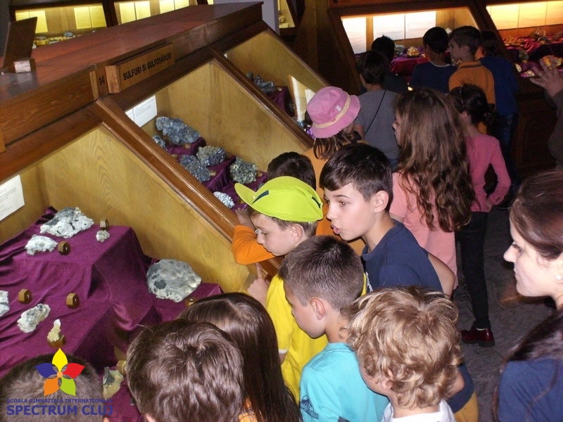 HPIM4362 Excursie în Baia Mare