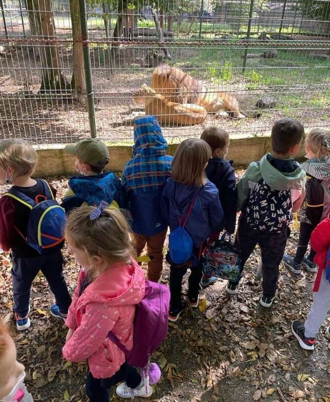 Clasele pregătitoare A și B, în vizită la Zoo Târgu Mureș!