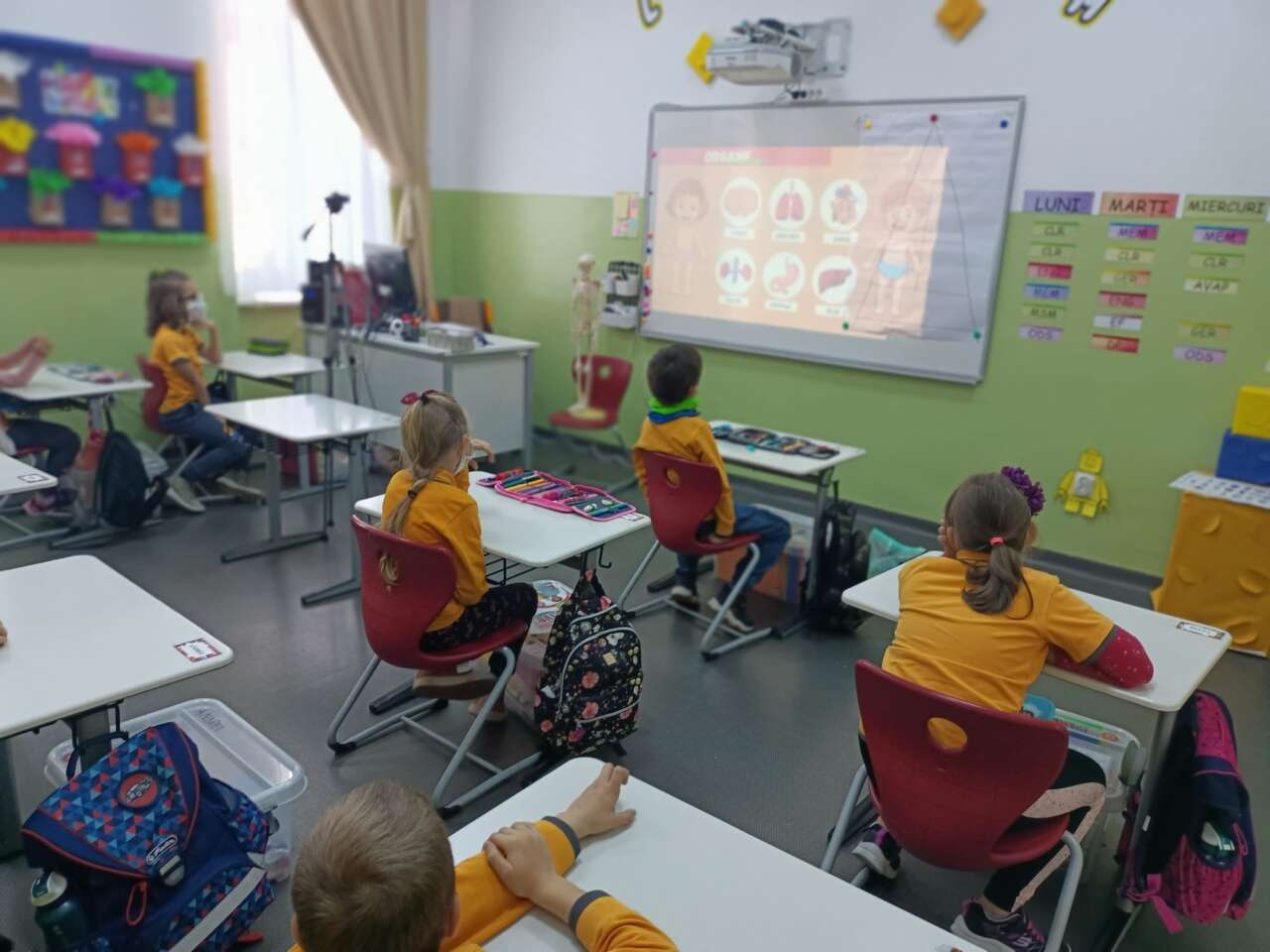 249873970_4622244887821037_4270556028250599537_n Noutăți