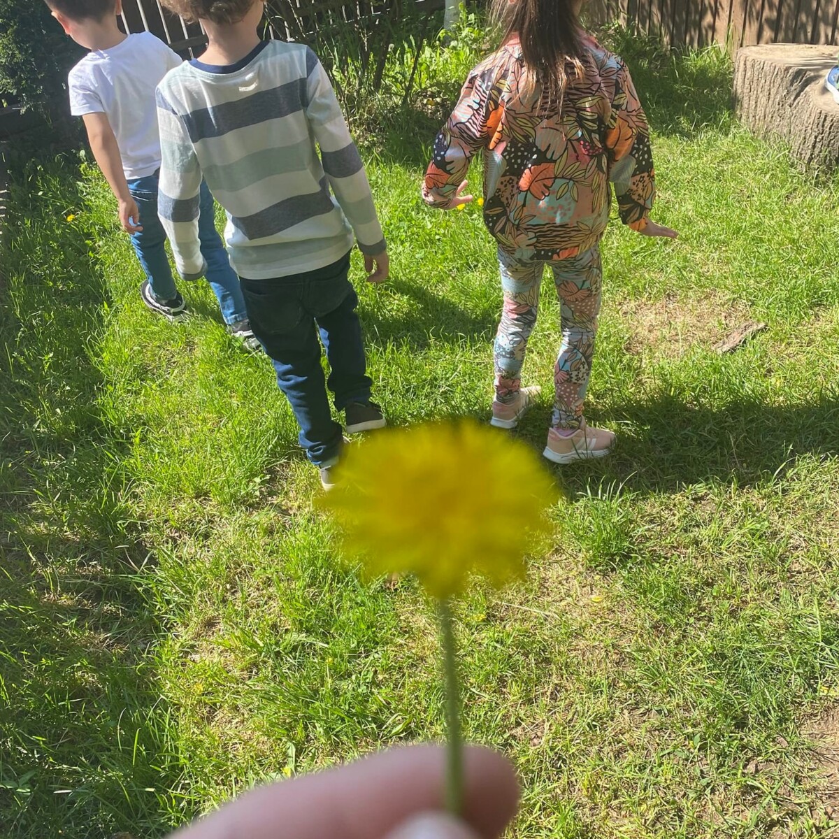 280497783_550719336705802_5150715384306226431_n-1200x1200 Iubim mierea, protejăm albinele🐝❤️