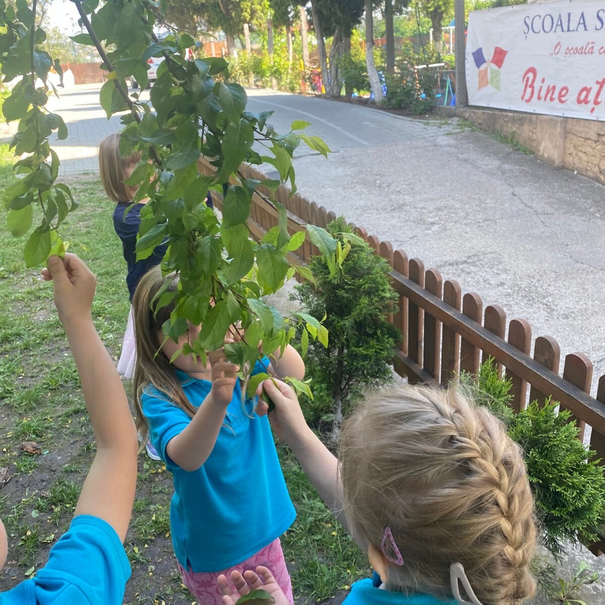 280756234_550719383372464_5226580080506570537_n-1200x1200 Iubim mierea, protejăm albinele🐝❤️