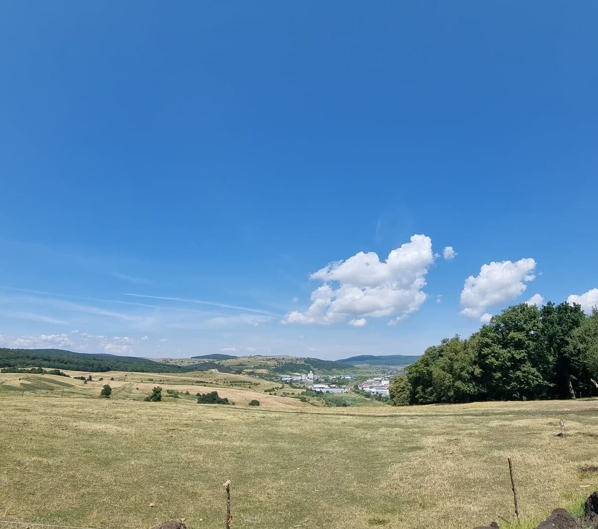 291865275_5412596175452567_6952922328202387790_n-1200x1062 Evadare în natură – Pădurea Hoia! 🐞🦋🐇🌳🌲🍀🐚🍄⛺️