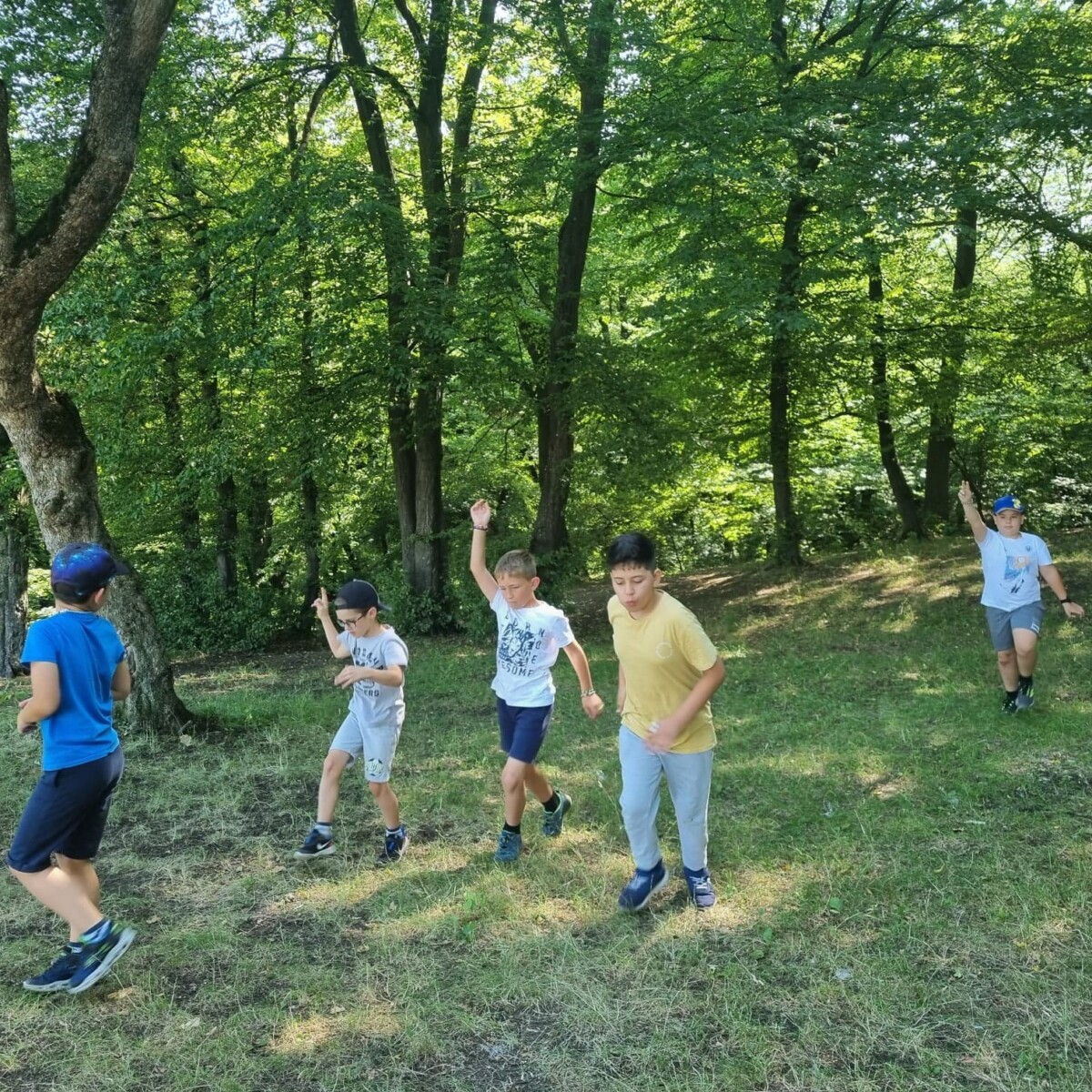 292146832_5412599128785605_6179440527936286615_n-1200x1200 Evadare în natură – Pădurea Hoia! 🐞🦋🐇🌳🌲🍀🐚🍄⛺️