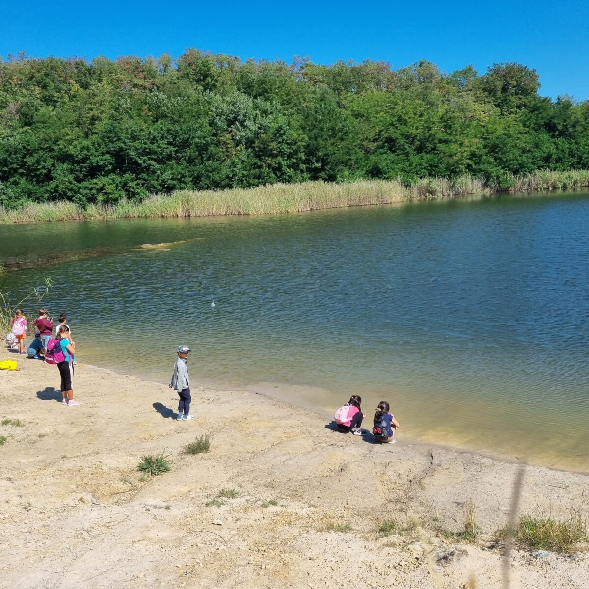 298422122_5504845969560920_5344848660672138785_n-1200x1200 Laguna Albastră – Aghireșu