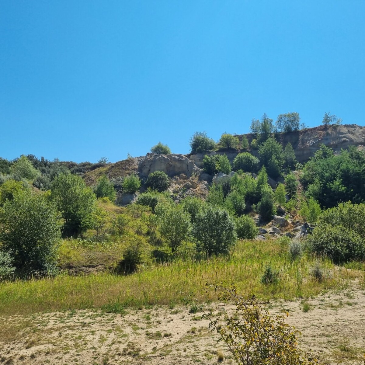 298833324_5504843959561121_7156653435239444331_n-1200x1200 Laguna Albastră – Aghireșu